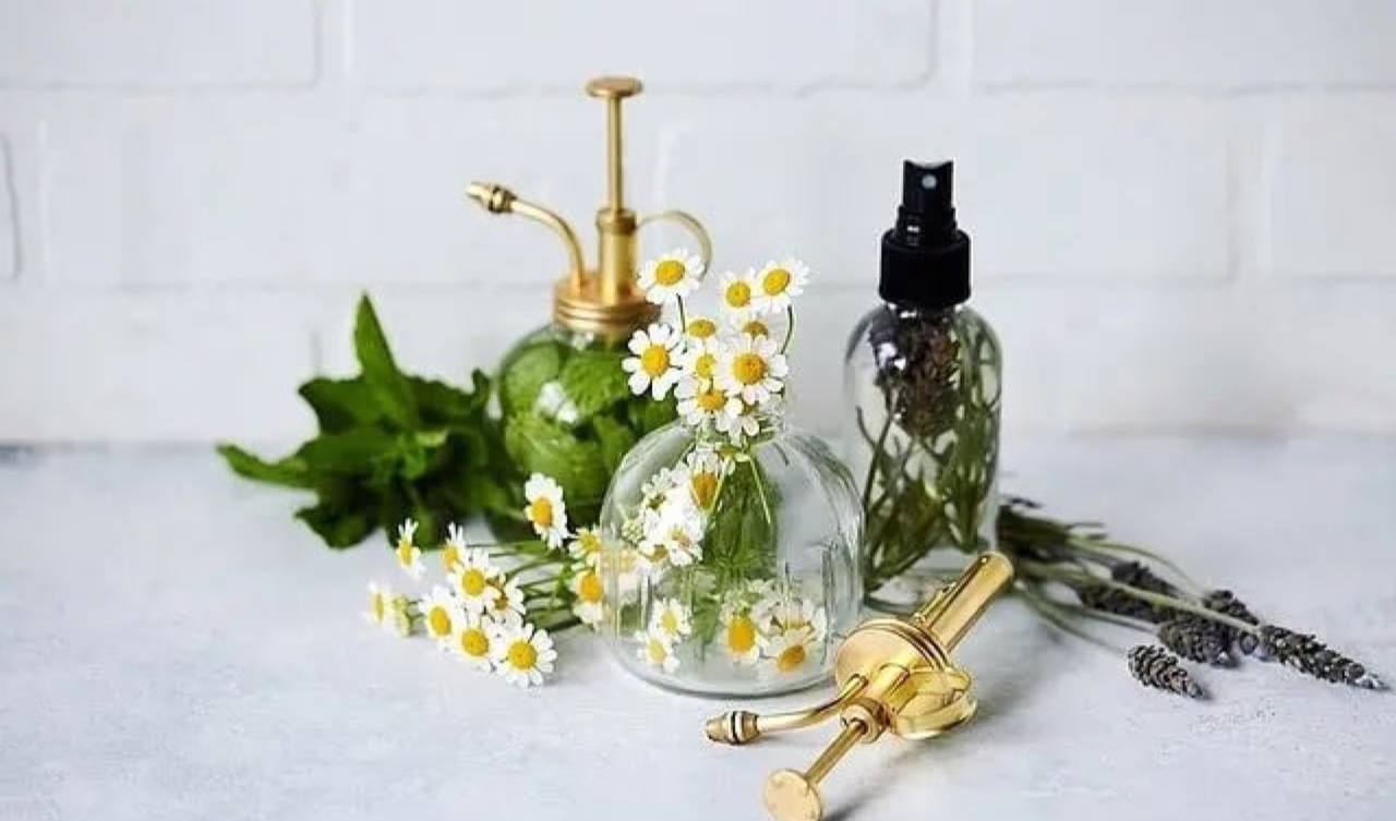 Kummelitoonik näonahale